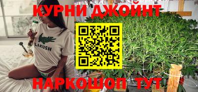 гашик Будённовск
