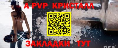 гашик Будённовск