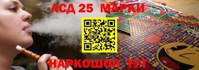 гашик Будённовск