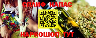 гашик Будённовск
