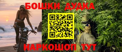 гашик Будённовск