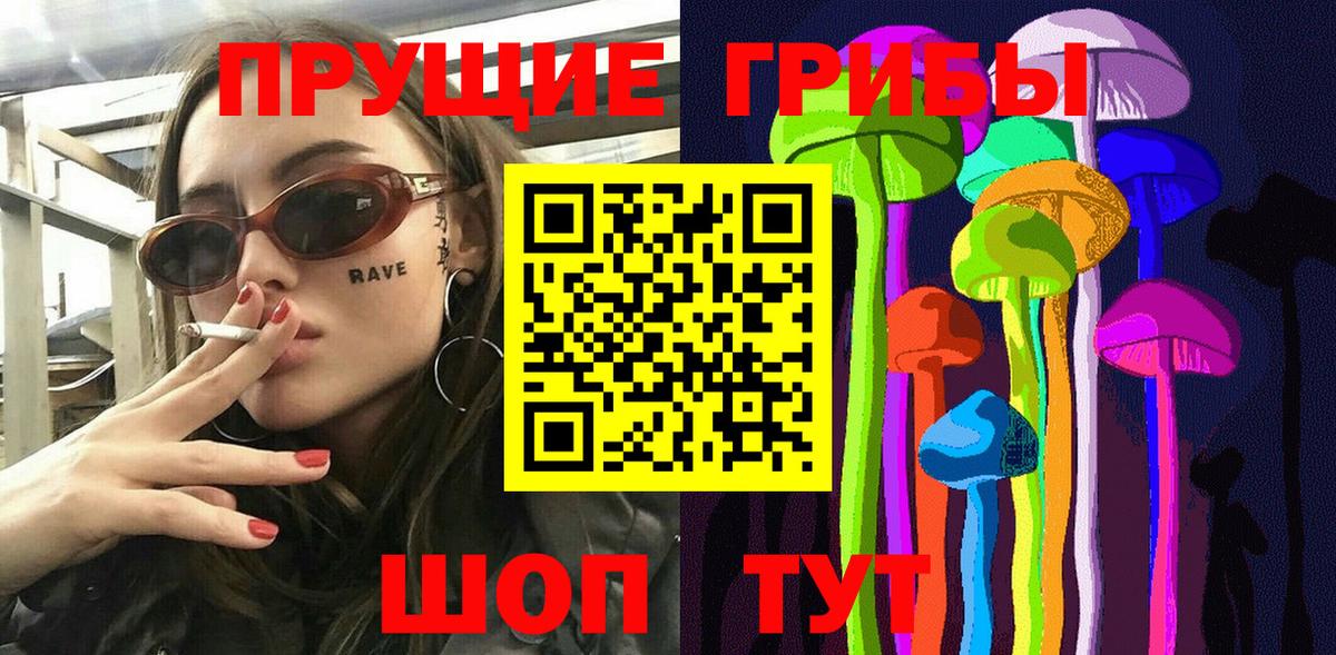 где найти   Вход с VPN  Псилоцибиновые грибы прущие грибы  Нефтекумск  Галлюциногенные грибы Psilocybine cubensis 