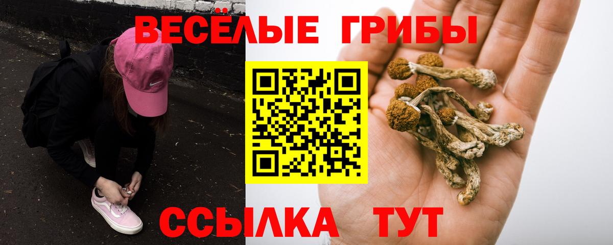 Галлюциногенные грибы мицелий Нефтекумск